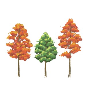 三棵多彩树木插画