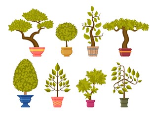 多样盆栽植物插画展示