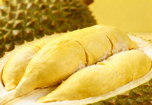 榴莲果肉特写
