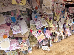 满墙缤纷许愿卡