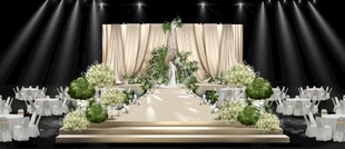 香槟色布幔白绿色韩式主舞台