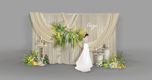 香槟色布幔白绿黄色迎宾区
