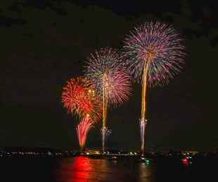 夜空中绚烂绽放的烟花