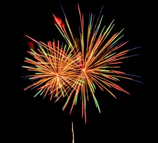 绚丽烟花绽放夜空