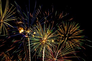 绚丽烟花绽放夜空