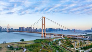 杨泗港长江大桥清晨朝霞天空