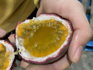 百香果