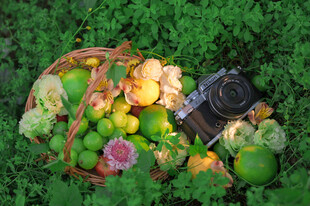 田园风蔬果与复古相机组合
