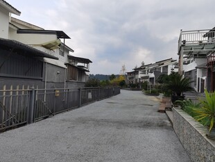 宁静住宅区的空旷巷道