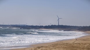 海边沙滩与远处风车景观