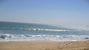 海边沙滩海浪轻拍景色美