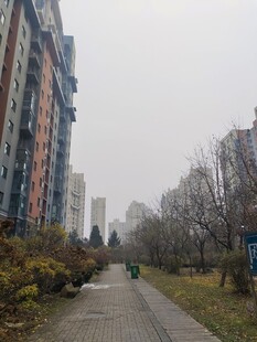 城市街道冬日景象