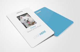 白色相框与蓝色卡片展示