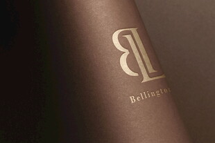 奢华品牌标志特写样机效果