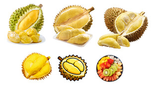 榴莲 猫山王 顶榴