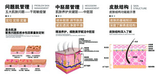 皮肤结构解剖示意图