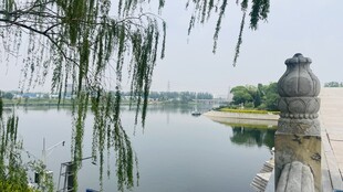 湖畔垂柳与石灯景致