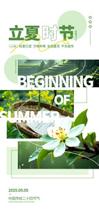 立夏时节绽放的白色花朵