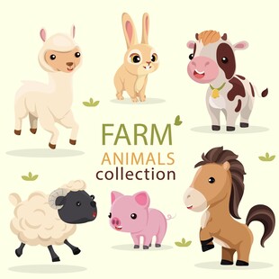 农场动物集合