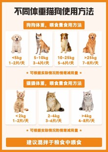 猫的喂法