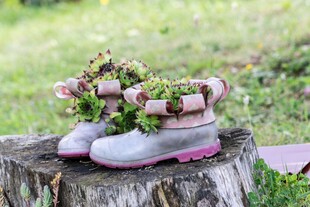 树桩上的绿植装饰雨靴