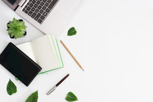 简约办公桌盆栽