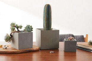 简约风多肉盆栽摆件组合