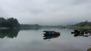 烟雨朦胧中的静谧湖面