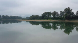 宁静湖水与岸边树木倒影