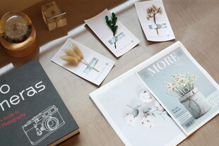 文艺风摄影作品展示