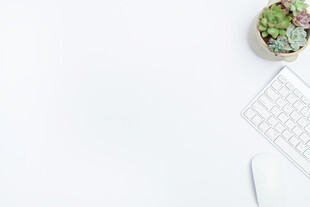 简约桌面的绿植与文具