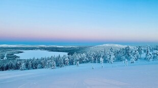 冬日雪景中的静谧森林