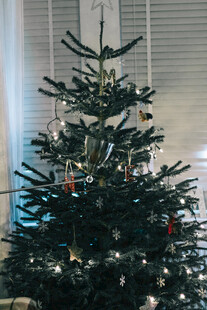 装饰精美的绿色圣诞树