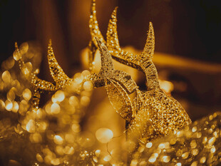 璀璨金色饰品闪耀夺目