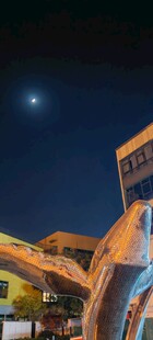 夜晚天空下的生活