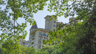 绿树掩映中的精美建筑