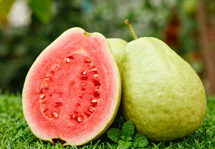 切开的红心芭乐