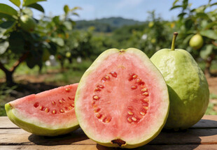 切开的红心芭乐