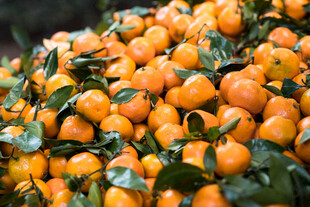 柑橘 橘子 桔子