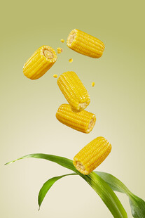 玉米