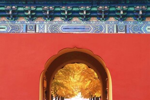 红墙拱门处的金黄树木