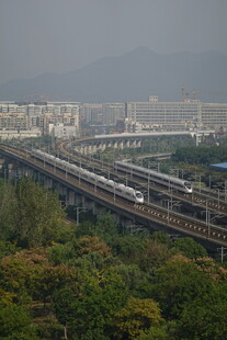 高架铁路穿行于绿树间