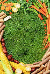 蔬菜环绕的翠绿草坪