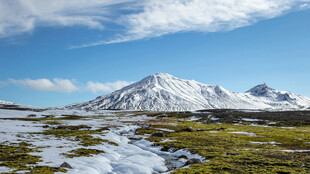 雪山草地自然美景