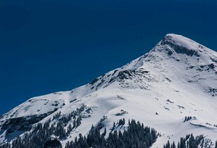 巍峨雪山与林间景致