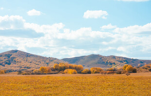 秋日旷野风光