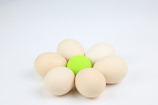 鸡蛋