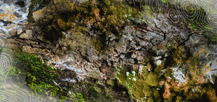 俯瞰多彩植被景观