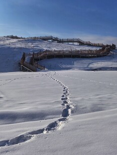 雪地脚印