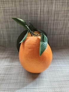 带叶橙子
